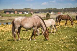 Отели типа «постель и завтрак» URychertow Kiełpino-0